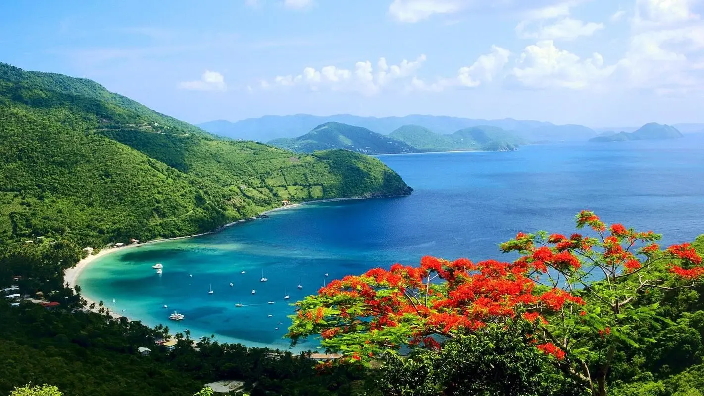 高标准创意